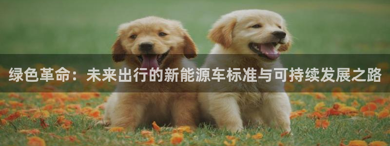 球盟会官方网站