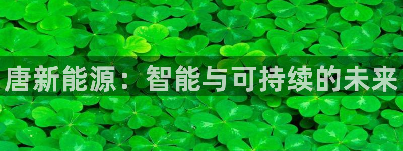 球盟会登录平台入口:唐新能源:智能与可持续的未来