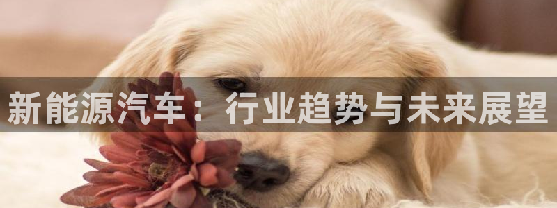 球盟会综合体育平台