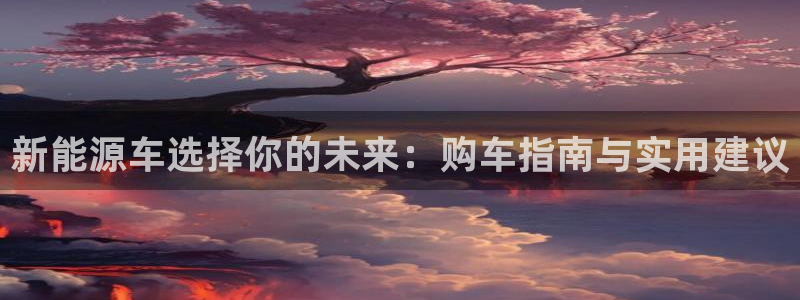 球盟会qm8597