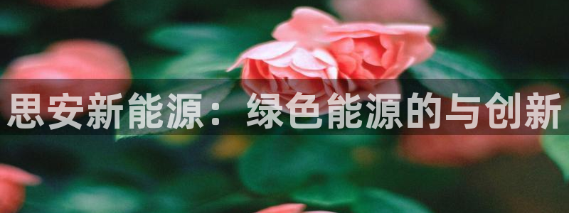 球盟会可以提现么是真的吗