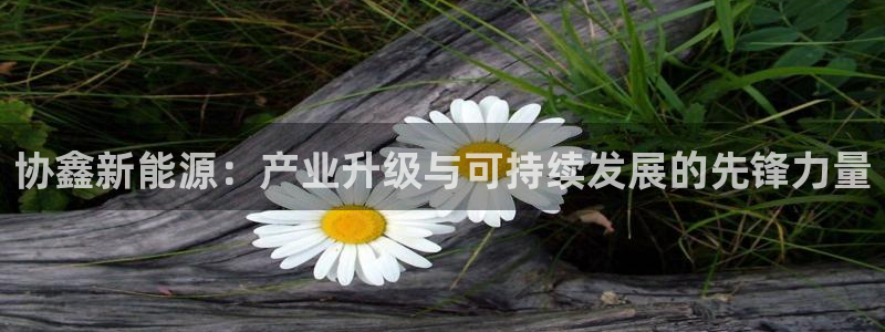 球盟会app网址多少