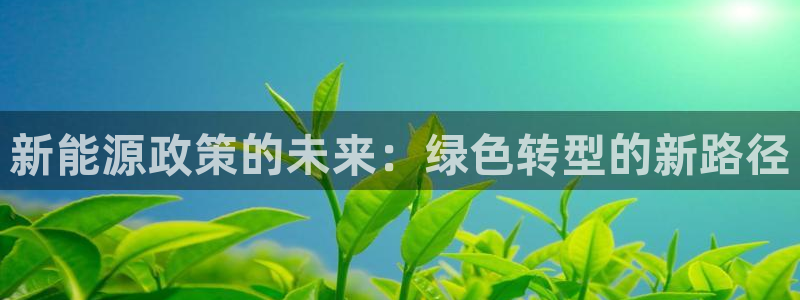 球盟会进不去