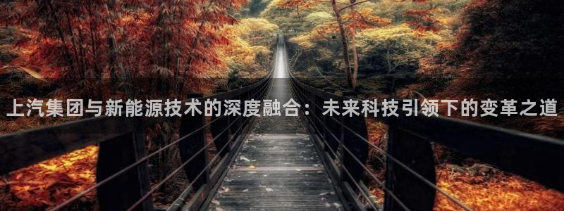 千亿球盟会乐玩