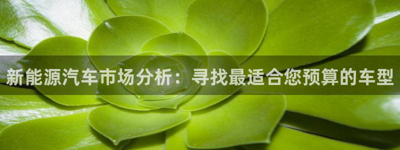球盟会官方入口