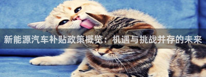 球盟会官方最新入口