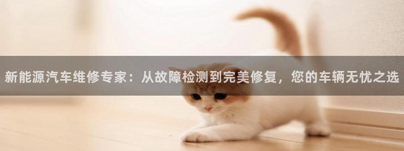 球盟会黑款吗还是白款