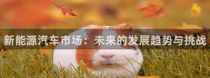 球盟会官方登录平台：新能源汽车市场：未来
