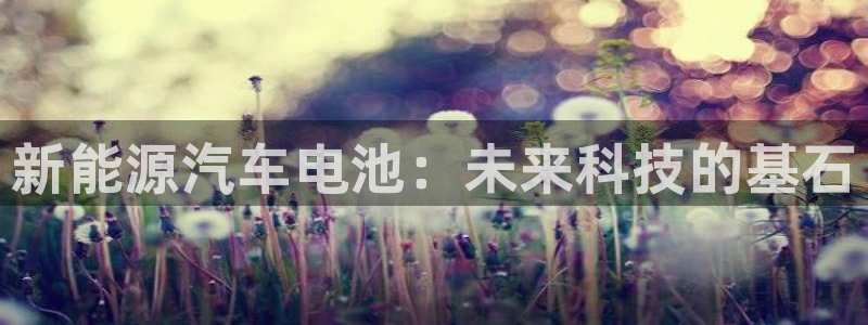 球盟会进不去球员吗：新能源汽车电池：未来