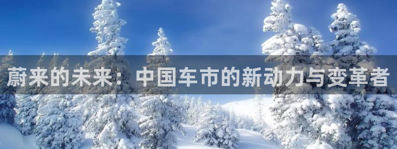 球盟会app最新地址在哪找