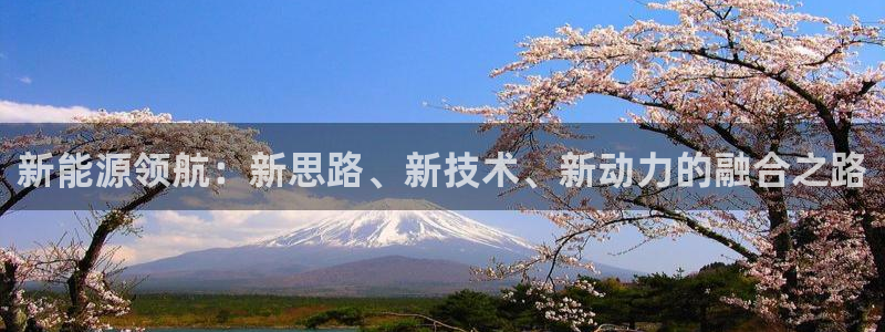 球盟会能提现吗
