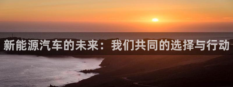 球盟会和中欧会的区别