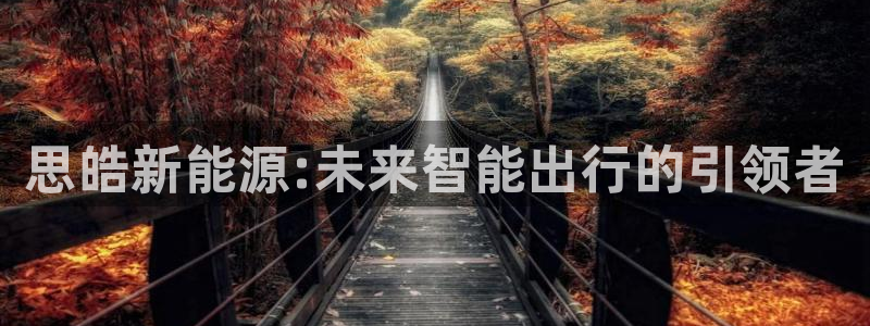 球盟会app最新地址在哪：思皓新能源:未