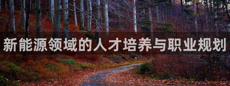 球盟会电子好黑：新能源领域的人才培养与职