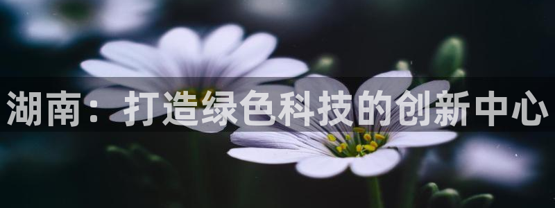 球盟会APP官网：湖南：打造绿色科技的创
