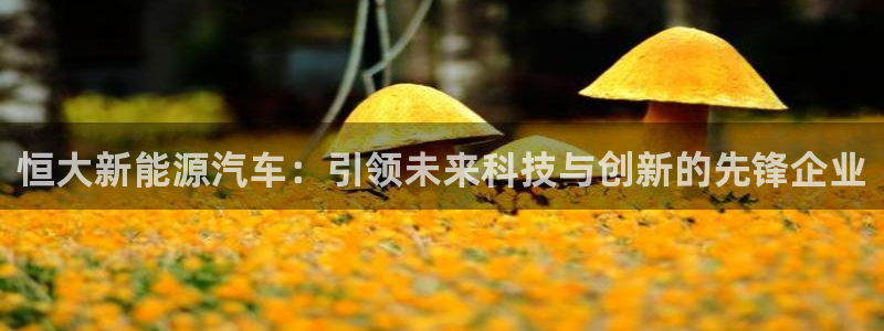 球盟会官方登录平台入口：恒大新能源汽车：