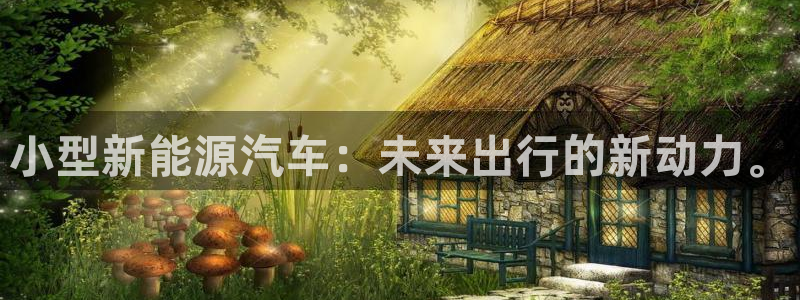 球盟会登陆中心：小型新能源汽车：未来出行