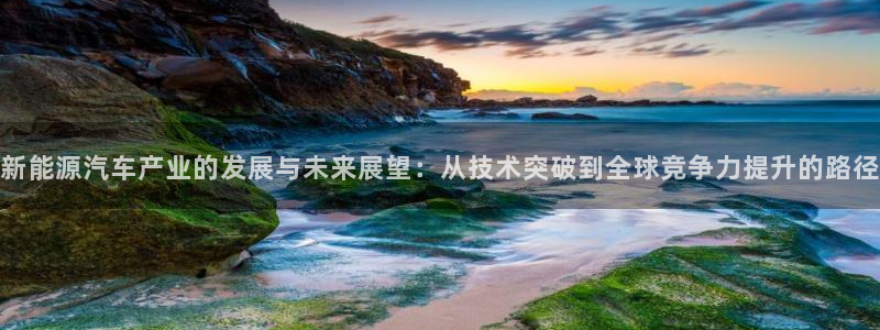 球盟会app最新地址在哪：新能源汽车产业