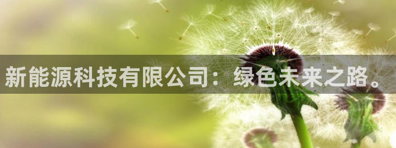 球盟会qm8597:新能源科技有限公司:绿色未来之路。