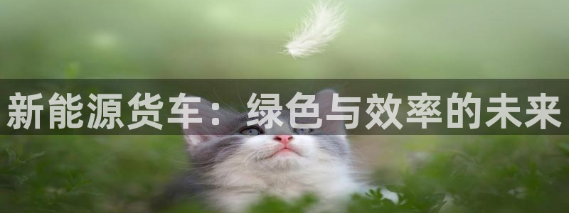 球盟会里面有打牌的嘛