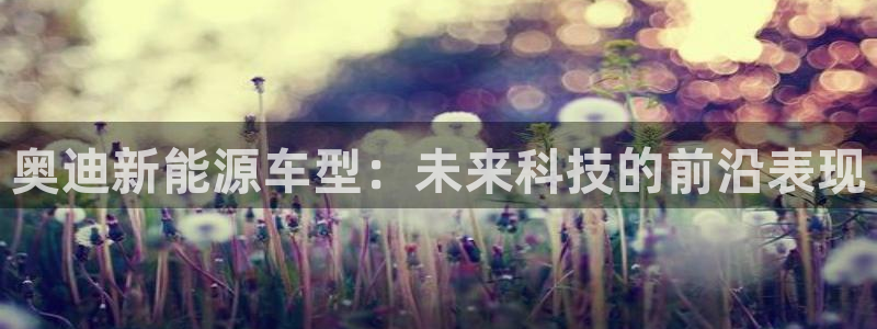 球盟会可以提现么是真的吗:奥迪新能源车型:未来科技的前沿表现