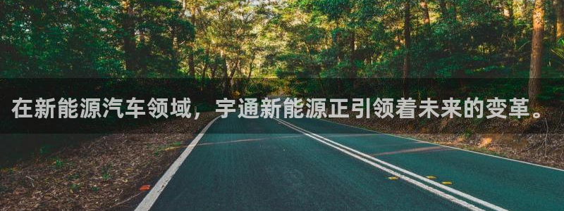 球盟会qmh网页版登录 - qm球盟会官方网站:在新能源汽车