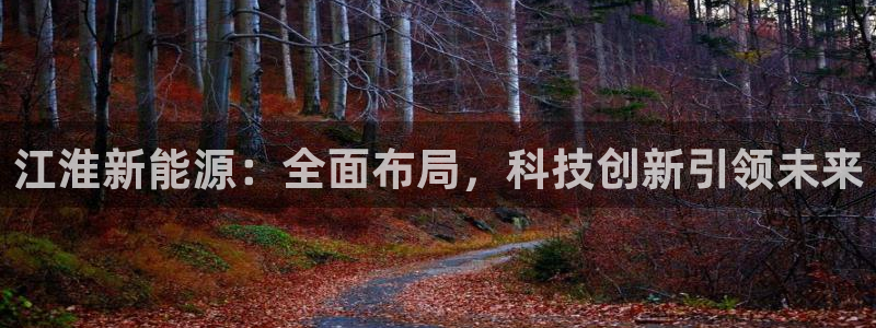 球盟会平台怎么样:江淮新能源:全面布局,科技创新引领未来