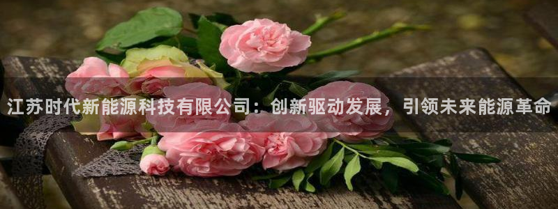 球盟会吧