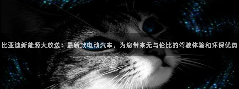 球盟会app最新地址下载安装