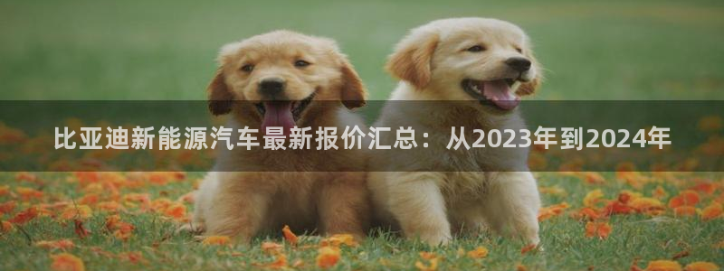 球盟会体验金球奖吗