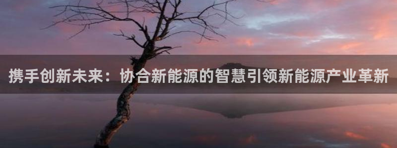 球盟会封号
