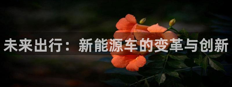球盟会和中欧会的区别