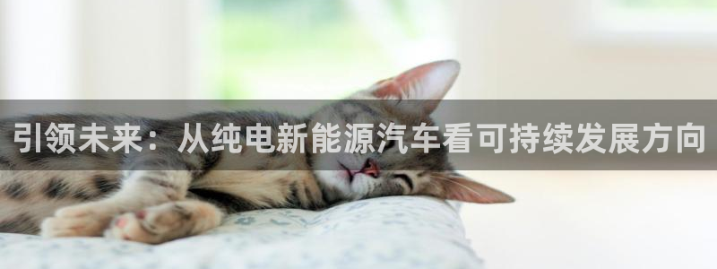 球盟会官方网址入口：引领未来：从纯电新能
