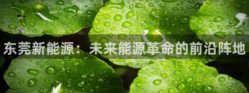 球盟会电子好黑：东莞新能源：未来能源革命