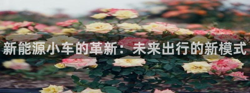 球盟会能提现吗是真的吗