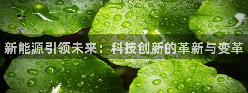 球盟会登陆入口
