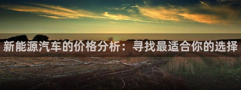 球盟会可以提现么现在