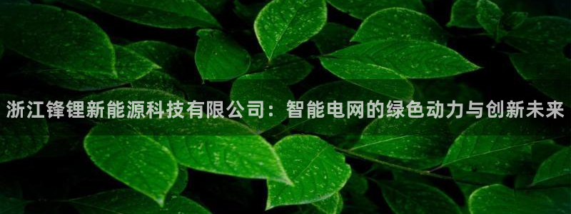 球盟会APP下载：浙江锋锂新能源科技有限