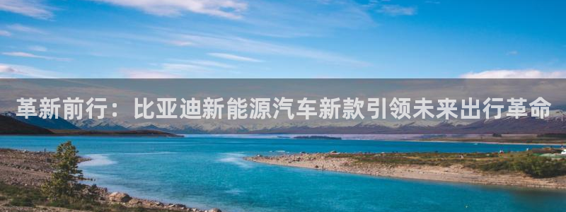 球盟会有没有黑单的:革新前行:比亚迪新能源汽车新款引领未来出