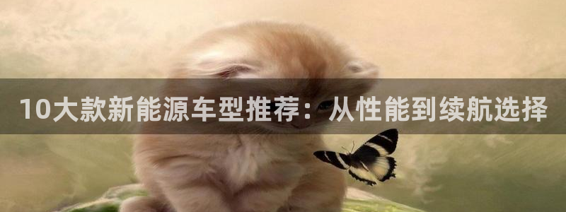 球盟会进不去球员吗:10大款新能源车型推荐:从性能到续航选择