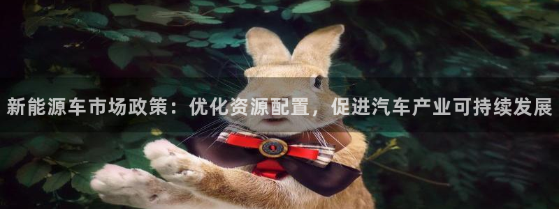 球盟会唯一：新能源车市场政策：优化资源配