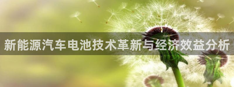 球盟会官方网入口：新能源汽车电池技术革新