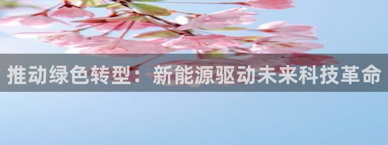 球盟会网址：推动绿色转型：新能源驱动未来
