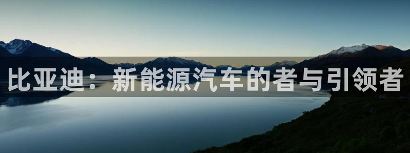 球盟会头号玩家:比亚迪:新能源汽车的者与引领者