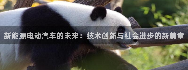 球盟会体育平台:新能源电动汽车的未来:技术创新与社会进步的新