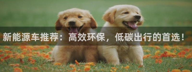球盟会头号玩家是谁:新能源车推荐:高效环保,低碳出行的首选!
