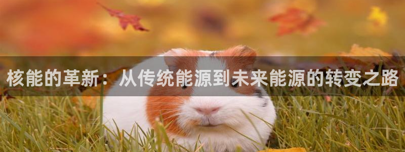 球盟会网址多少:核能的革新:从传统能源到未来能源的转变之路