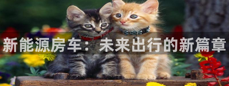 球盟会在线登入:新能源房车:未来出行的新篇章