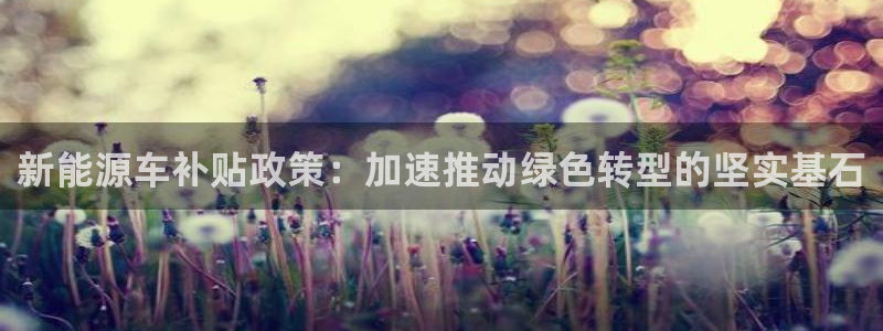 球盟会官方登录平台入口:新能源车补贴政策:加速推动绿色转型的