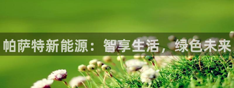 球盟会黑平台:帕萨特新能源:智享生活,绿色未来